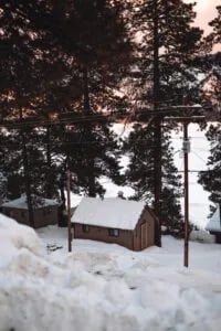 Small, snow-covered cabin nestled among tall pine trees in a winter landscape.