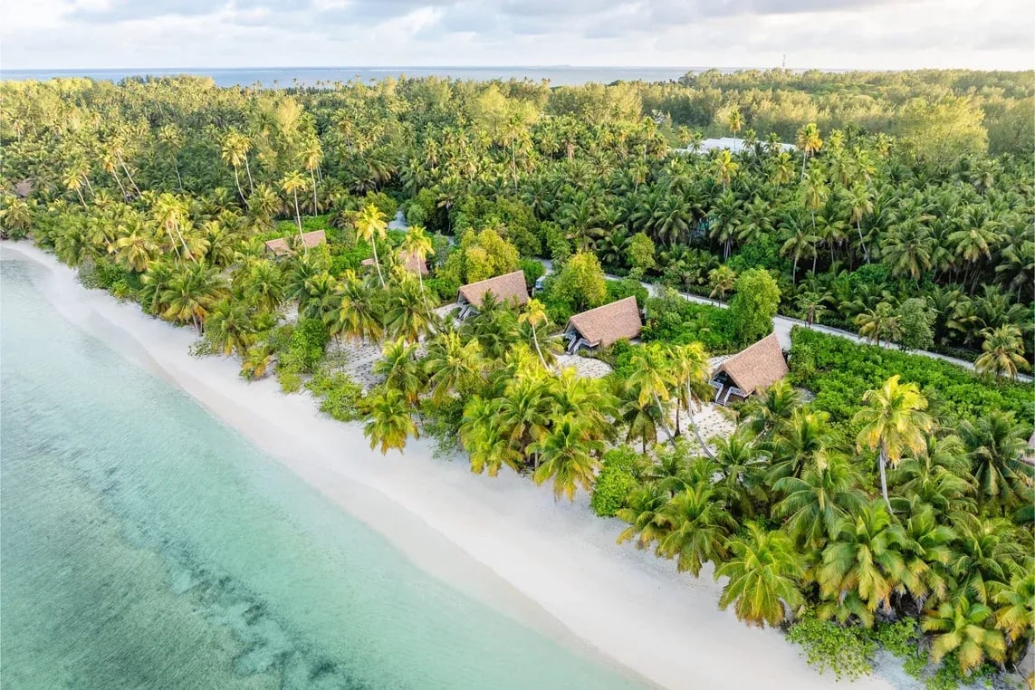 Aerial view of beach bungalows along a palm-lined coast at sunset.