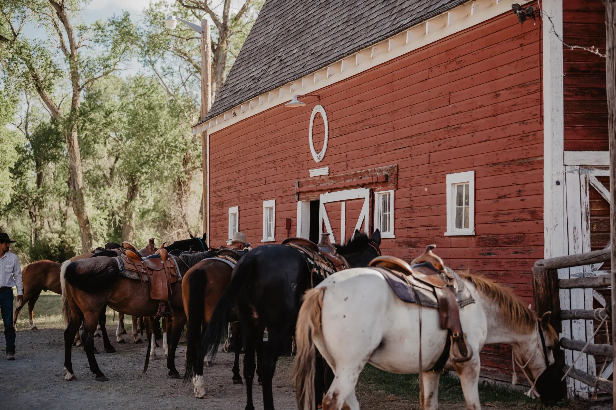 Horses stand tied outside of the historic red barn at the Circle Bar Guest Ranch.