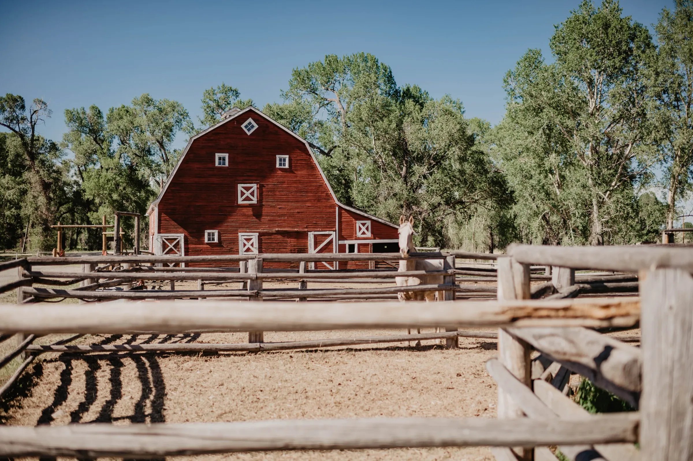 A horse stands in the corral at the Circle Bar Guest Ranch.