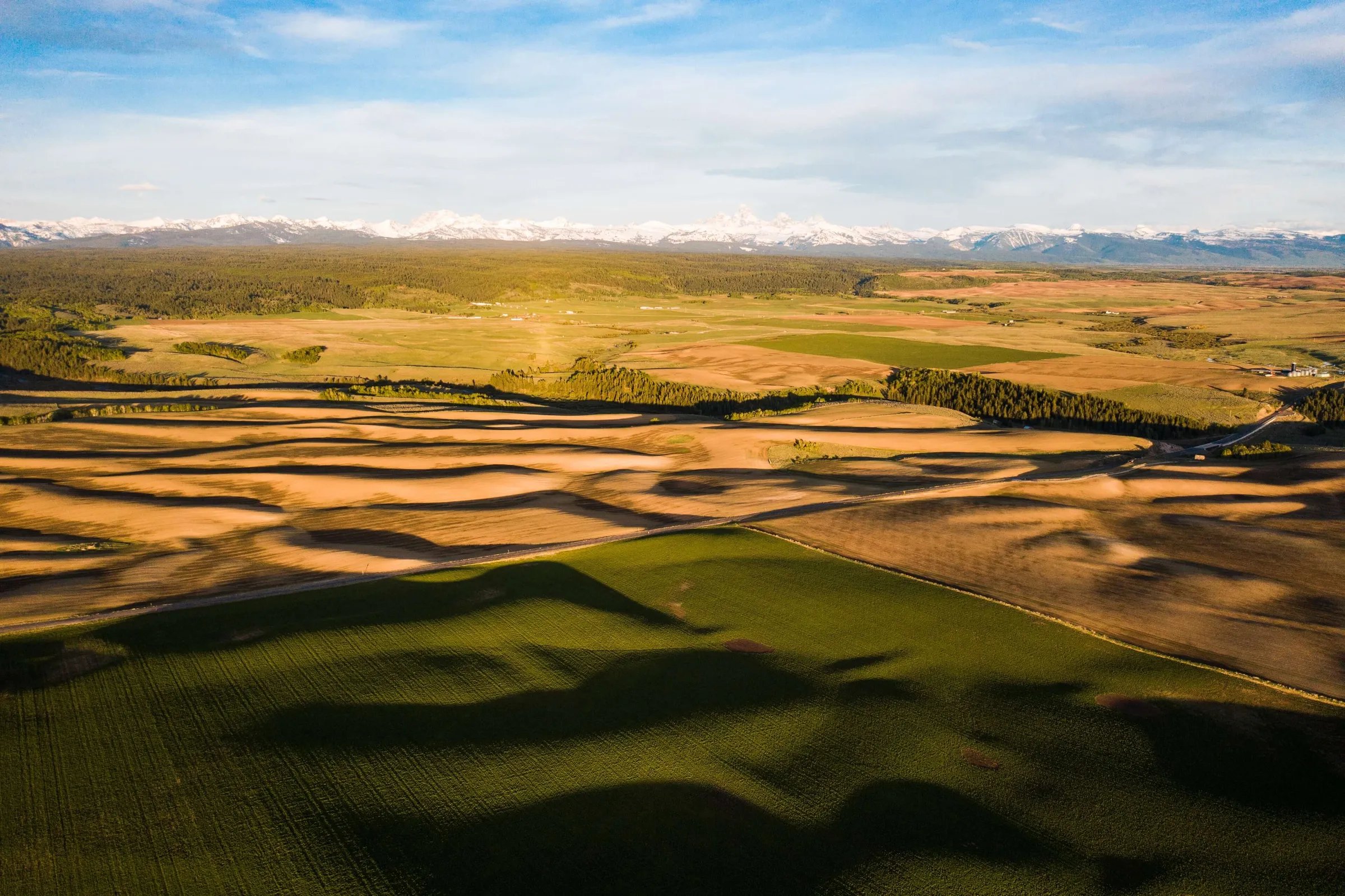 Aerial view of rolling green and golden fields with distant mountains under a blue sky