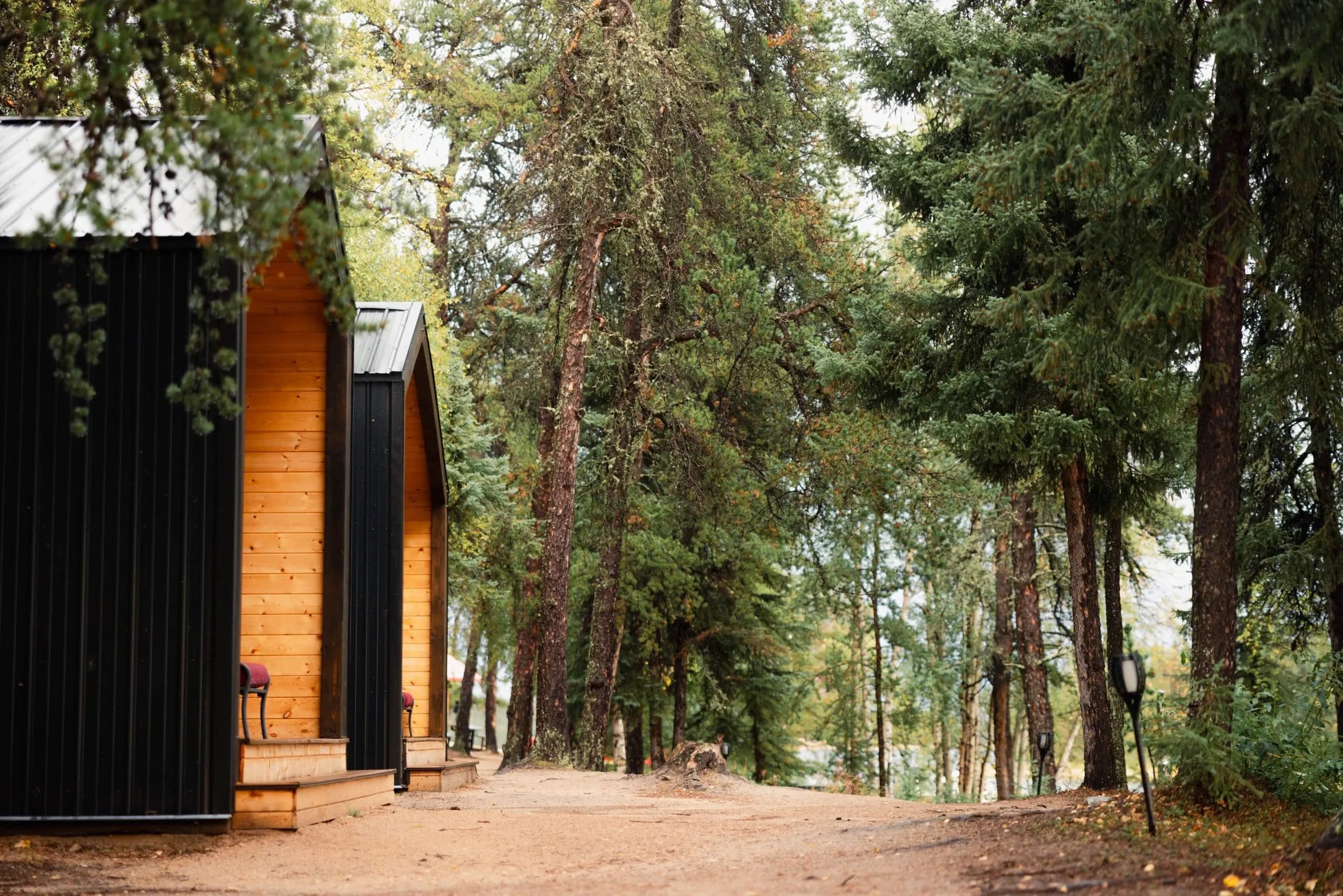 Row of modern cabins with black and wood siding nestled in a forest