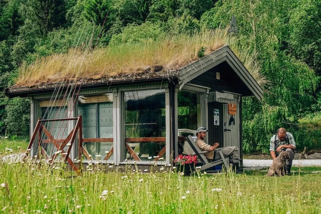 Main lodge building exterior with a vibrant foreground of wildflowers and green grass.