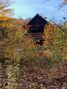 Rustic wooden cabin on stilts with a small porch, surrounded by green grass and trees