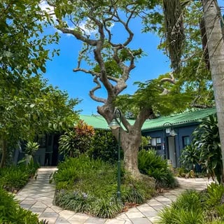 Stone pathway winding through lush tropical gardens towards lodge buildings