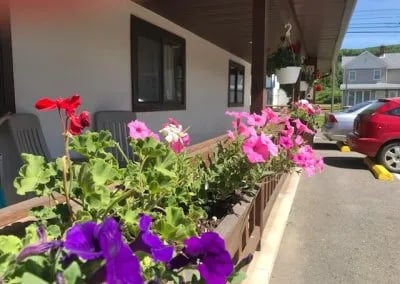 Spring annuals in flower boxes at the Upper Delaware Inn.