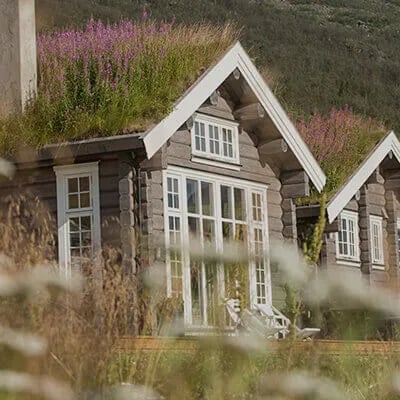Traditional Norwegian lodge building with a grass roof and white-framed windows, surrounded by wildflowers