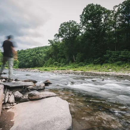 Angler standing on rocks by a fast-flowing river surrounded by lush trees