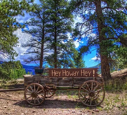 Rustic wooden wagon with a 'Hey Howdy Hey!' sign in a pine forest