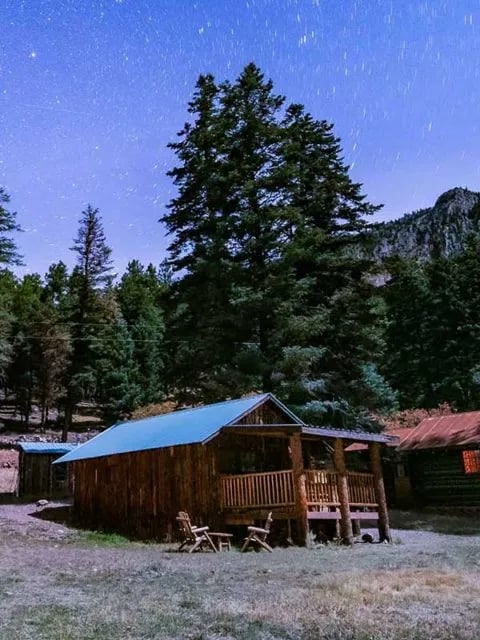 Knothole cabin at dusk with pine trees and stars in the sky