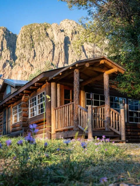 Exterior of Old Lodge log cabin with cliffs in the background and wildflowers in the foreground