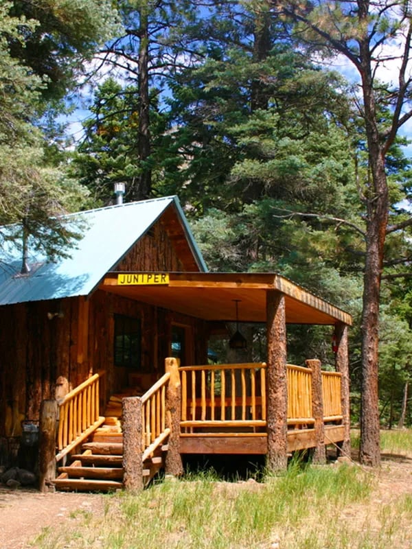 Juniper Cabin exterior with a wooden porch and a bright blue roof, surrounded by pine trees.