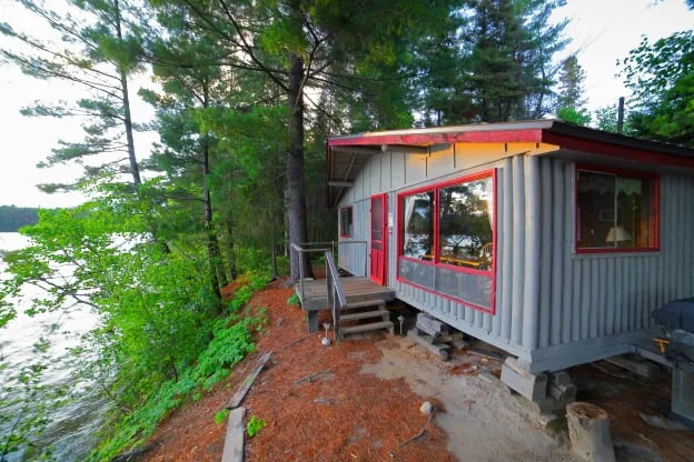 Rustic waterfront cabin nestled among tall pine trees