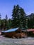 Knothole cabin at dusk with pine trees and stars in the sky