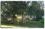 Tent Sites