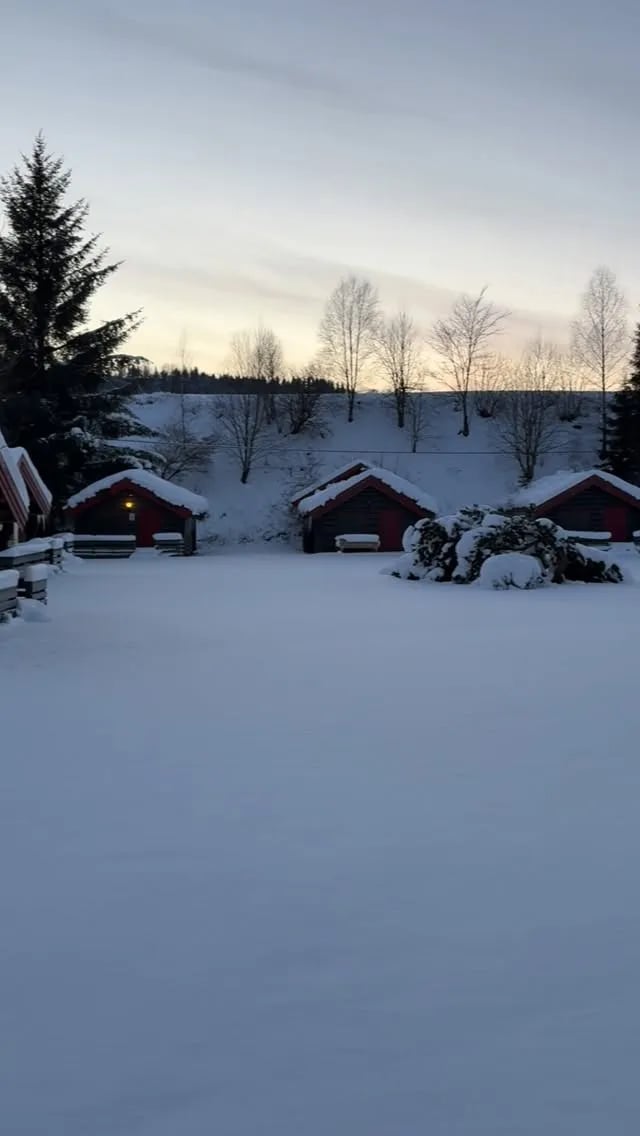 Small red-roofed cabins covered in snow on a winter landscape