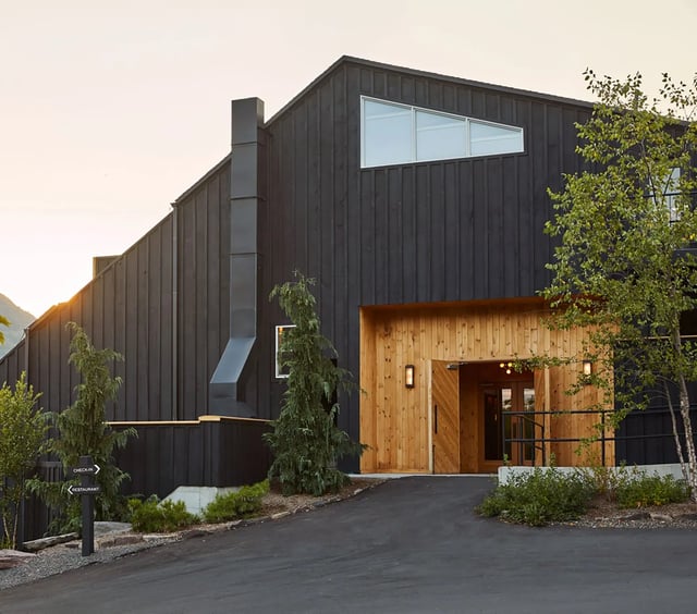 Dark modern lodge building on a green hill with three dogs playing on the lawn.