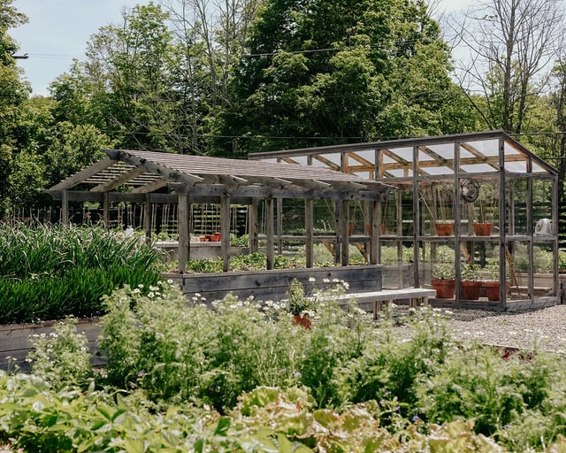 Raised garden beds filled with young green plants, mountain landscape in the background.