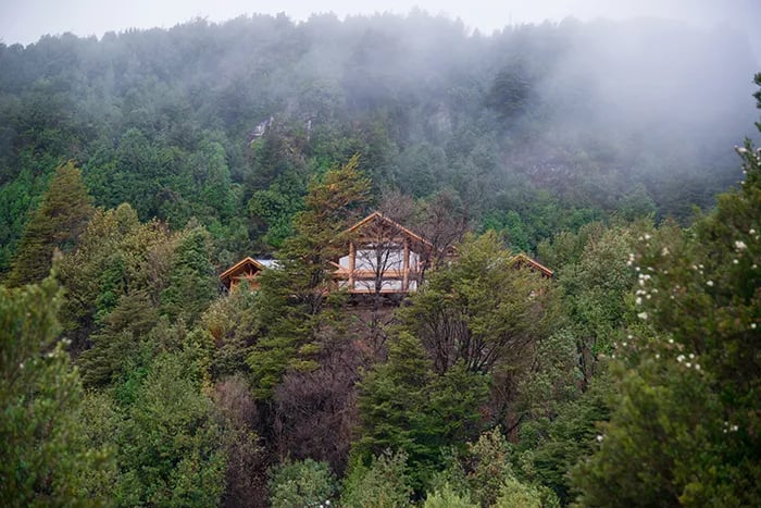 Rustic lodge building peeking through a misty green forest on a hillside