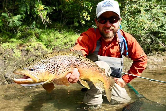 Angler in waders holding a large spotted brown trout in a shallow river