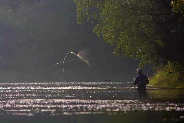 Angler casting a fly rod in misty river water at dawn