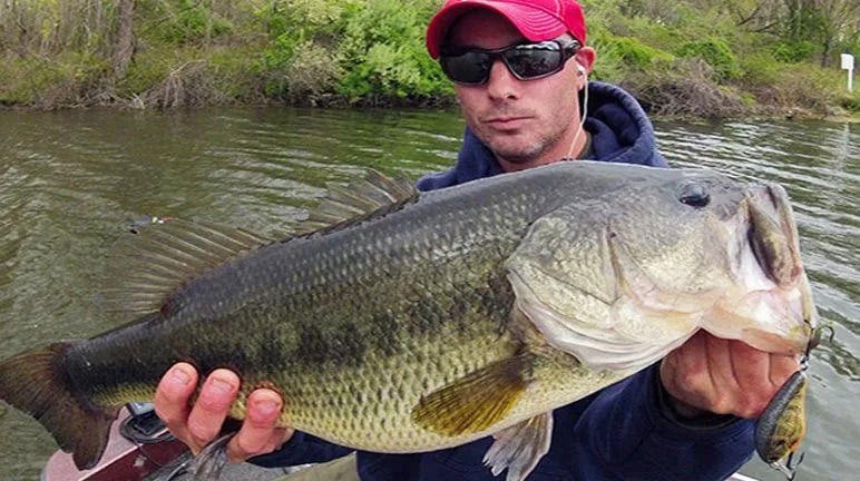 Angler holding a large largemouth bass over the water