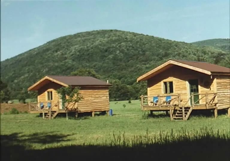 Aerial view of Pepacton Cabins property with cabins, pond, and river