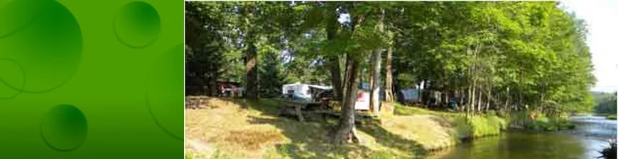 Riverbank with lush green trees and a distant campground under a bright sky
