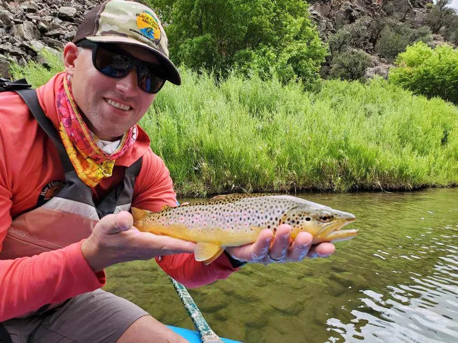 Smiling angler holding a spotted brown trout in a river.