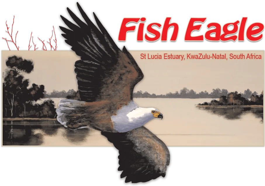 Fish Eagle Holiday Accommodation wordmark with a flying fish eagle over a lake scene