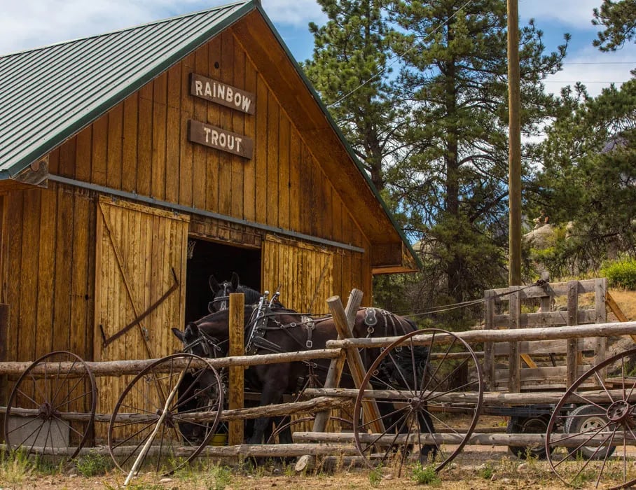 Rustic wooden barn with 'RAINBOW TROUT' sign and horse-drawn wagon